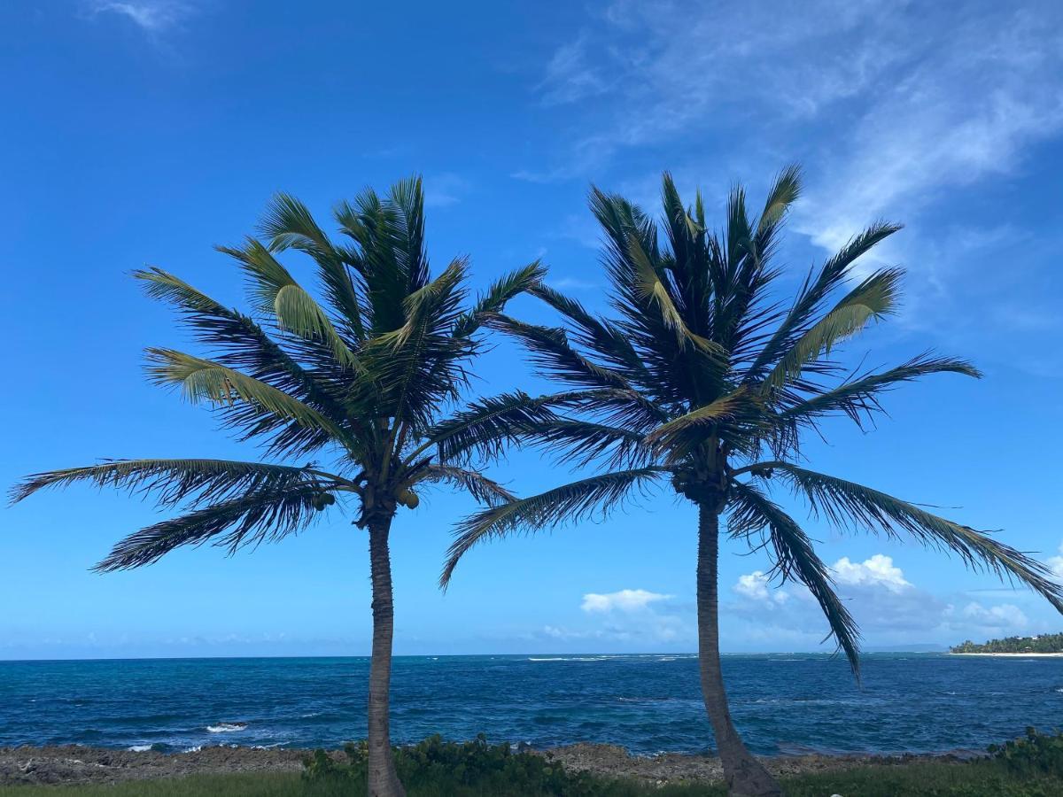 Villa Phare Caraibes Guadeloupe เลอ มูเล่ ภายนอก รูปภาพ